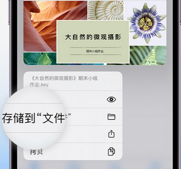 合川apple维修中心分享iPhone文件应用中存储和找到下载文件