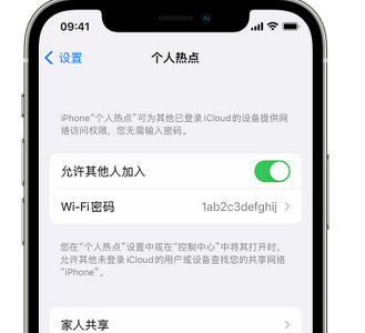 合川apple服务站点分享iPhone上个人热点丢失了怎么办 