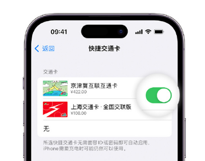 合川apple维修点分享iPhone上更换Apple Pay快捷交通卡手绘卡面 