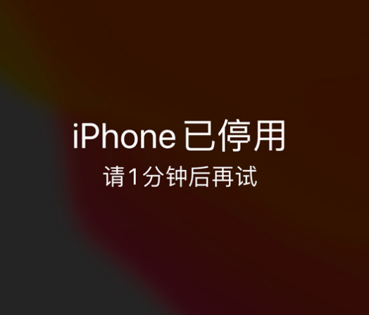 合川苹果手机维修分享:iPhone 显示“不可用”或“已停用”怎么办？还能保留数据吗？ 