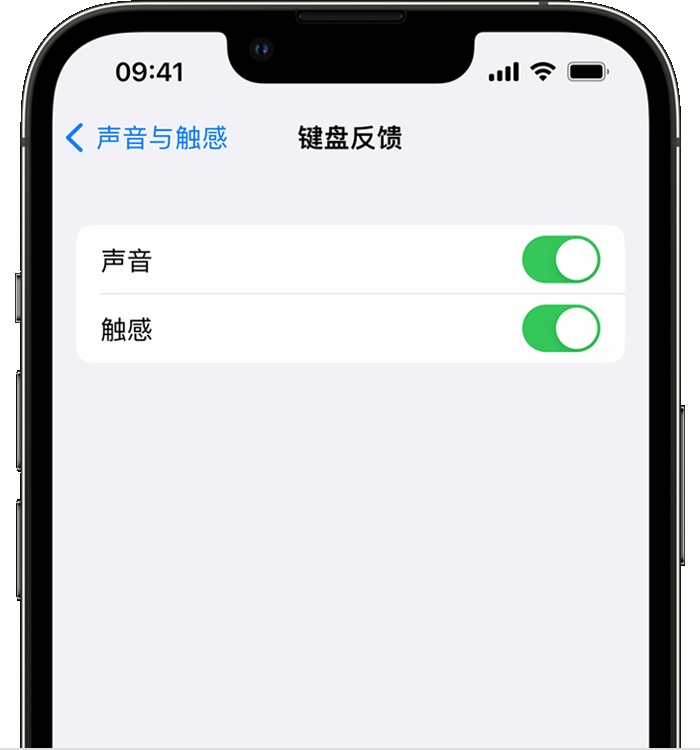 合川苹果14维修店分享如何在 iPhone 14 机型中使用触感键盘 