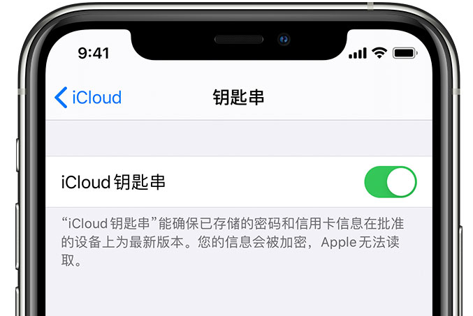 合川苹果手机维修分享在 iPhone 上开启 iCloud 钥匙串之后会储存哪些信息 